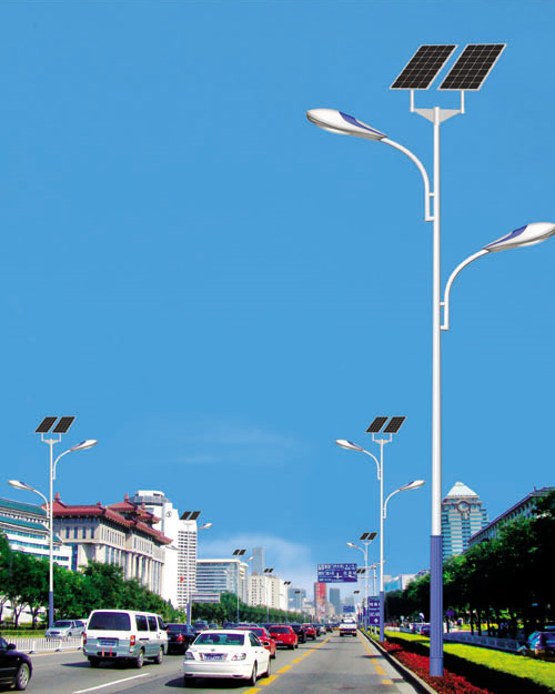 太陽(yáng)能路燈 SR-TYN-020